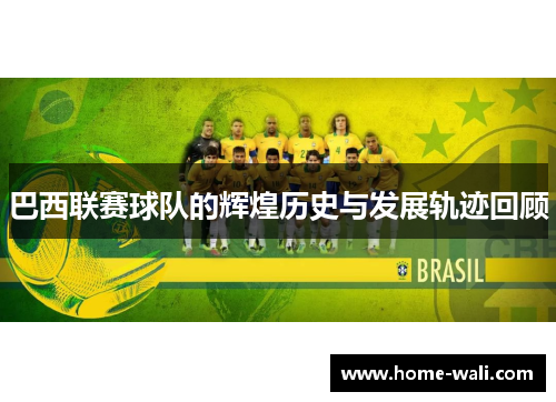 巴西联赛球队的辉煌历史与发展轨迹回顾
