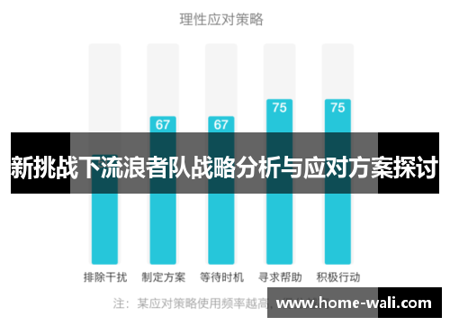 新挑战下流浪者队战略分析与应对方案探讨