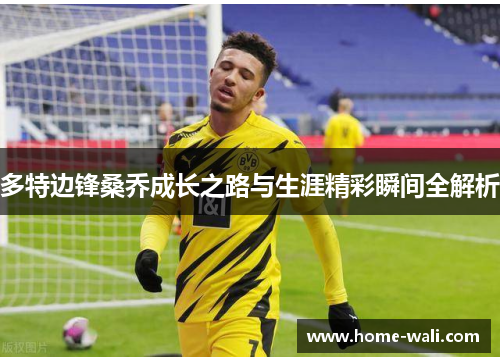 多特边锋桑乔成长之路与生涯精彩瞬间全解析