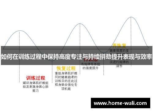 如何在训练过程中保持高度专注与持续拼劲提升表现与效率