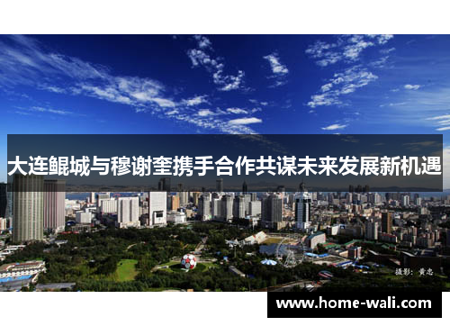 大连鲲城与穆谢奎携手合作共谋未来发展新机遇