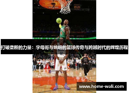 打破垄断的力量：字母哥与姚明的篮球传奇与跨越时代的辉煌历程