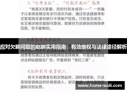 应对欠薪问题的赵鹏实用指南：有效维权与法律途径解析