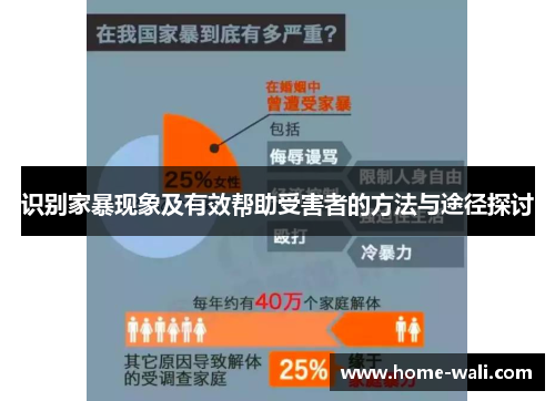 识别家暴现象及有效帮助受害者的方法与途径探讨